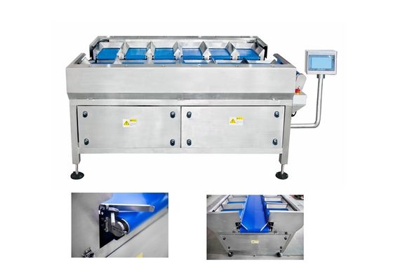12 Head Manual Combination Weigher With Belt